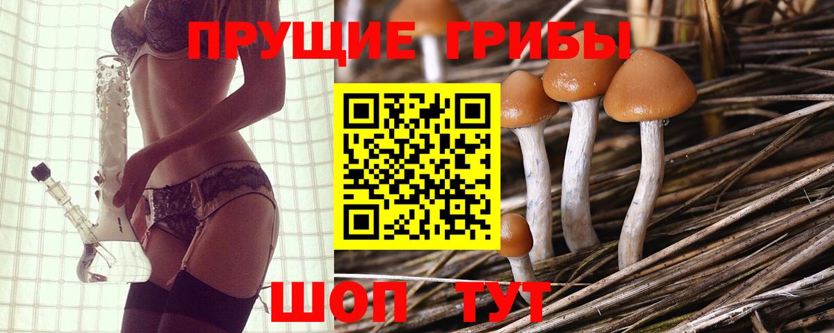 Кувандык  Галлюциногенные грибы мухоморы  Вход с VPN  Псилоцибиновые грибы Psilocybine cubensis 