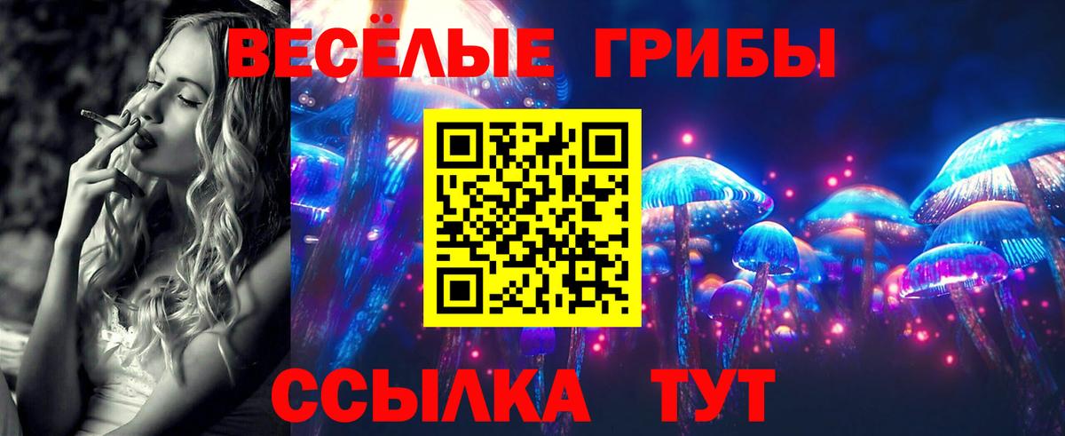 Галлюциногенные грибы GOLDEN TEACHER Кувандык